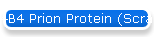 4B4 Prion Protein (Scrapie)