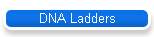 DNA Ladders