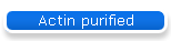 Actin purified