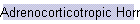 Adrenocorticotropic Hormone