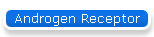 Androgen Receptor