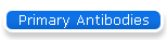 Primary Antibodies