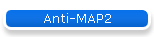 Anti-MAP2