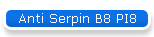 Anti Serpin B8 PI8