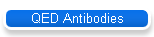 QED Antibodies