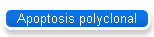 Apoptosis polyclonal