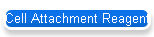 Cell Attachment Reagent