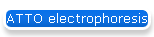 ATTO electrophoresis
