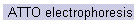 ATTO electrophoresis