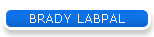BRADY LABPAL