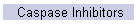 Caspase Inhibitors