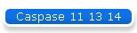 Caspase 11 13 14
