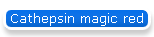 Cathepsin magic red
