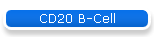 CD20 B-Cell