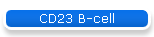 CD23 B-cell