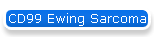 CD99 Ewing Sarcoma