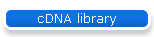 cDNA library