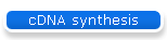 cDNA synthesis