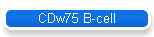CDw75 B-cell