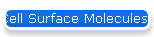 Cell Surface Molecules / GPCRs