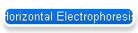 Horizontal Electrophoresis