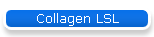 Collagen LSL