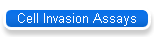 Cell Invasion Assays