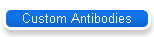 Custom Antibodies