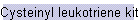 Cysteinyl leukotriene kits