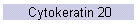 Cytokeratin 20