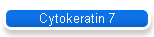 Cytokeratin 7