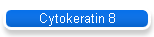 Cytokeratin 8