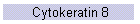 Cytokeratin 8