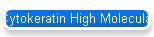 Cytokeratin High Molecular