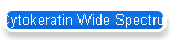 Cytokeratin Wide Spectrum