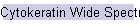 Cytokeratin Wide Spectrum