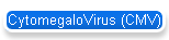 CytomegaloVirus (CMV)