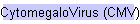 CytomegaloVirus (CMV)