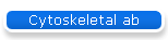 Cytoskeletal ab