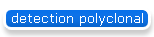 detection polyclonal