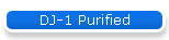 DJ-1 Purified