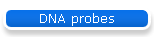 DNA probes