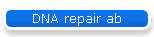 DNA repair ab