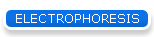 ELECTROPHORESIS