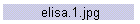 elisa.1.jpg