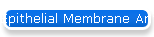 Epithelial Membrane Antigen
