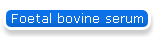Fetal bovine serum