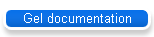 Gel documentation