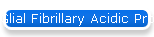 Glial Fibrillary Acidic Protein