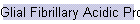 Glial Fibrillary Acidic Protein